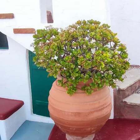 Patelo House بيت للعطل *