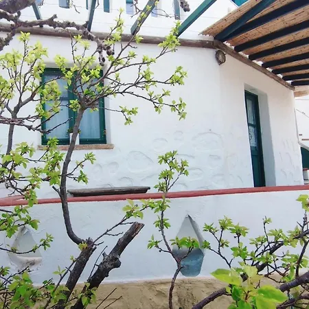 Prázdninový dům Patelo House *
