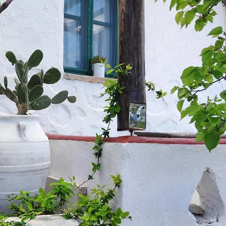 Patelo House *
